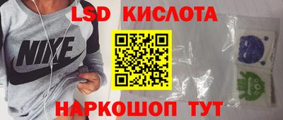прущие грибы Тверь