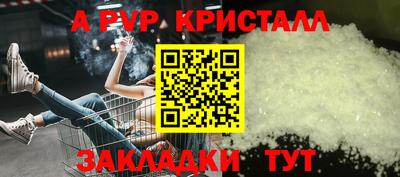 прущие грибы Тверь