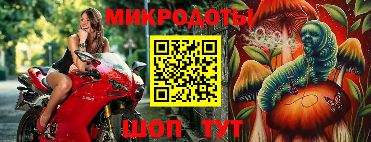 Богданович  Псилоцибиновые грибы мицелий  Вход с VPN 