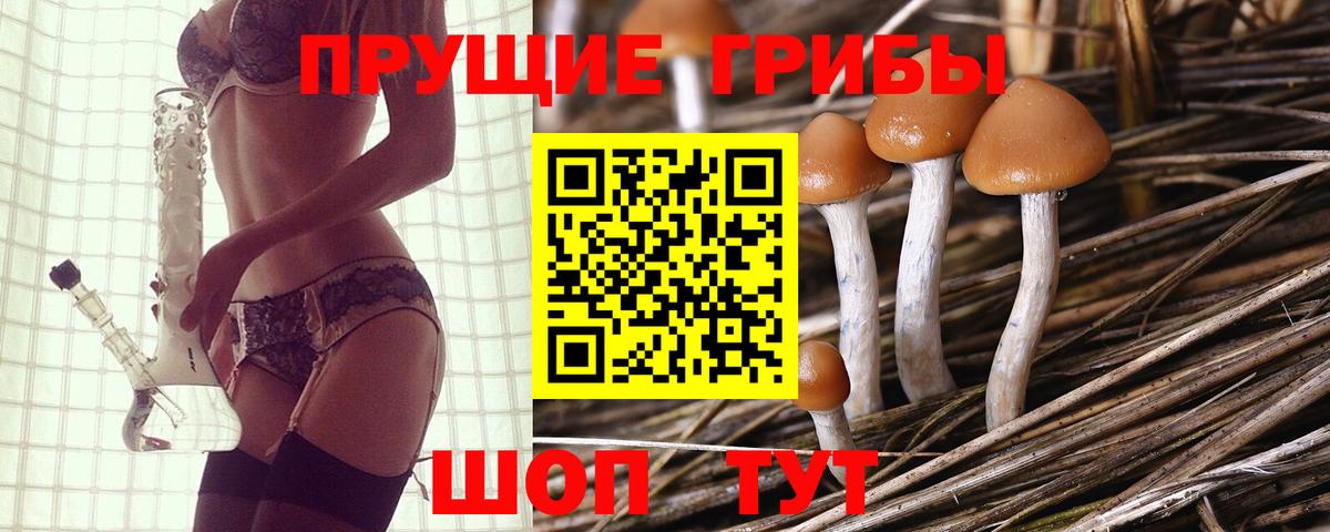 Галлюциногенные грибы GOLDEN TEACHER Богданович